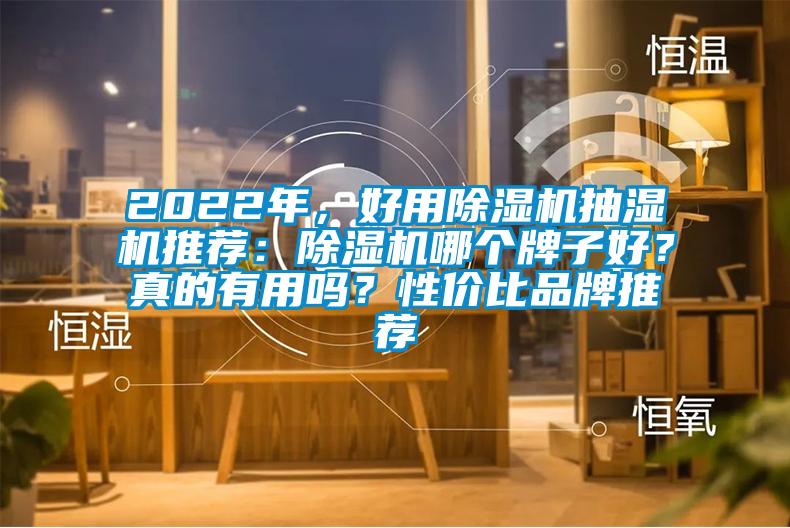 2022年，好用除濕機(jī)抽濕機(jī)推薦：除濕機(jī)哪個(gè)牌子好？真的有用嗎？性價(jià)比品牌推薦
