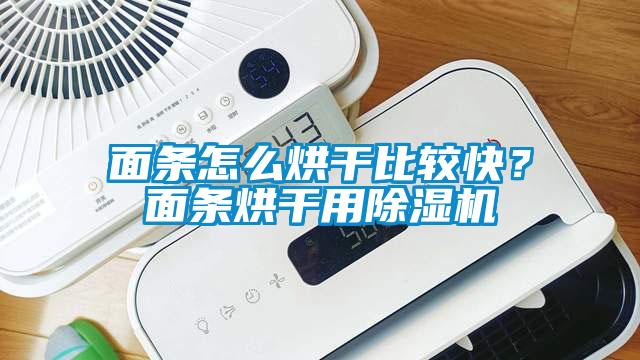 面條怎么烘干比較快？面條烘干用除濕機(jī)