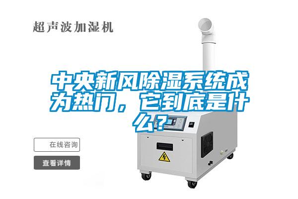 中央新風(fēng)除濕系統(tǒng)成為熱門，它到底是什么？