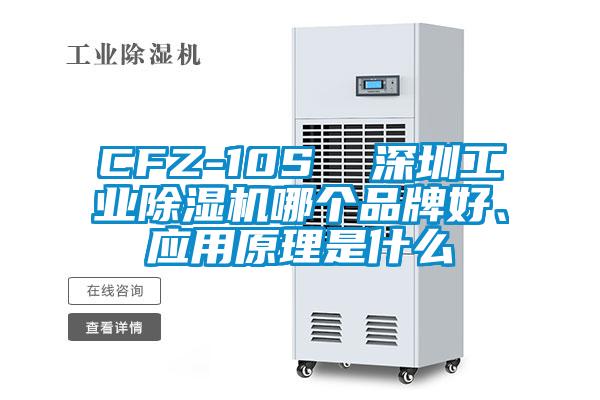 CFZ-10S  深圳工業(yè)除濕機(jī)哪個(gè)品牌好、應(yīng)用原理是什么