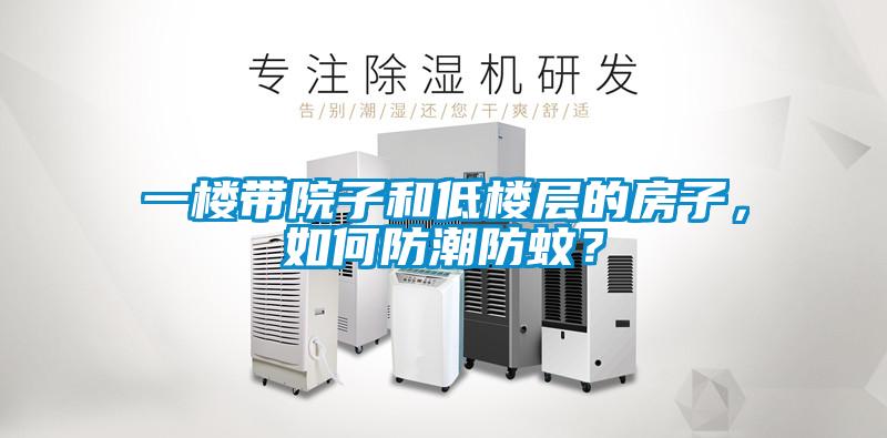 一樓帶院子和低樓層的房子，如何防潮防蚊？