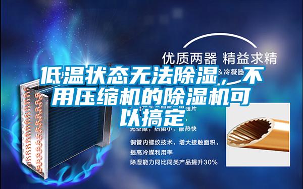 低溫狀態(tài)無(wú)法除濕，不用壓縮機(jī)的除濕機(jī)可以搞定