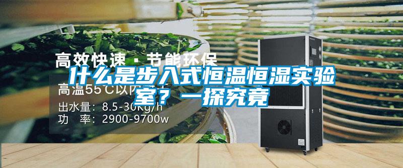 什么是步入式恒溫恒濕實(shí)驗(yàn)室？一探究竟