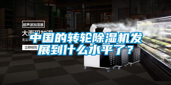 中國(guó)的轉(zhuǎn)輪除濕機(jī)發(fā)展到什么水平了？