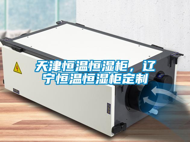天津恒溫恒濕柜，遼寧恒溫恒濕柜定制