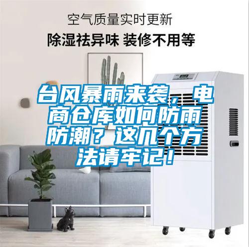 臺風(fēng)暴雨來襲，電商倉庫如何防雨防潮？這幾個方法請牢記！