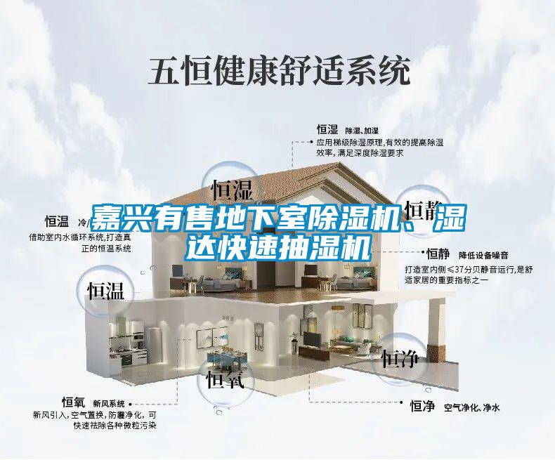 嘉興有售地下室除濕機(jī)、濕達(dá)快速抽濕機(jī)