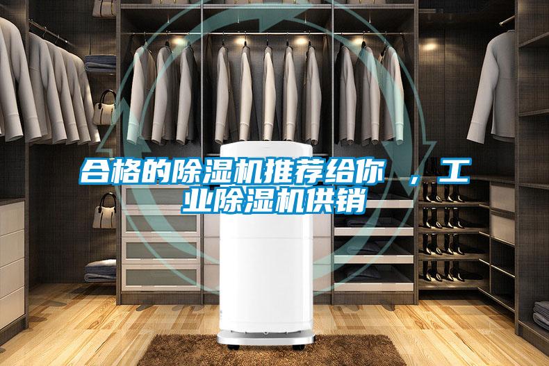 合格的除濕機(jī)推薦給你 ,工業(yè)除濕機(jī)供銷