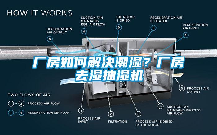 廠房如何解決潮濕？廠房去濕抽濕機