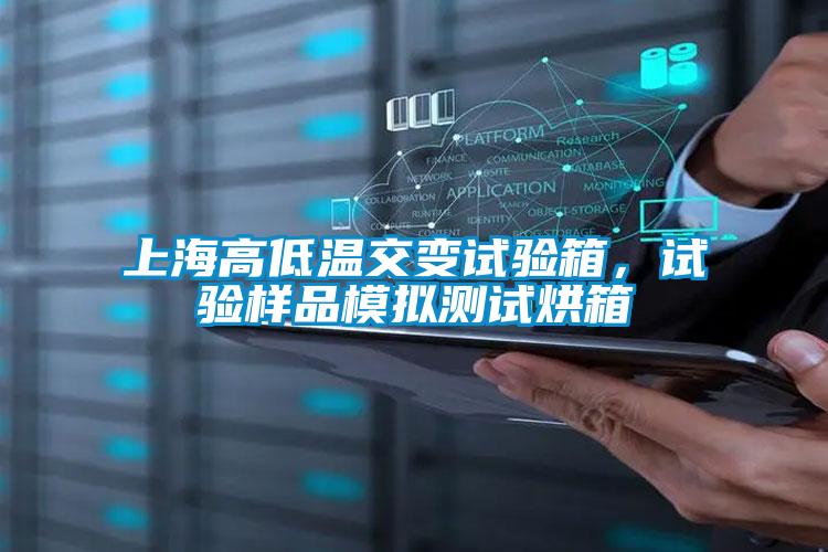 上海高低溫交變試驗箱，試驗樣品模擬測試烘箱