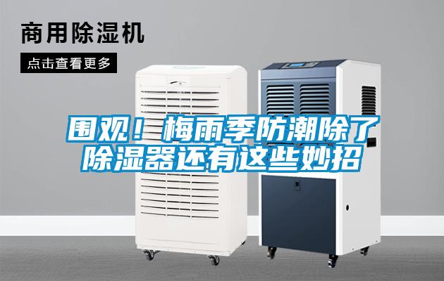 圍觀！梅雨季防潮除了除濕器還有這些妙招