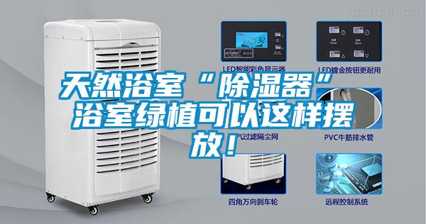 天然浴室“除濕器” 浴室綠植可以這樣擺放！