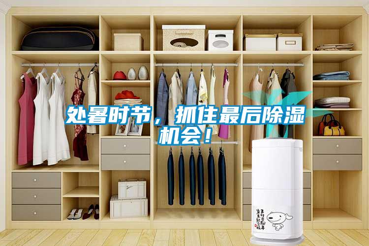 處暑時節(jié)，抓住最后除濕機(jī)會！