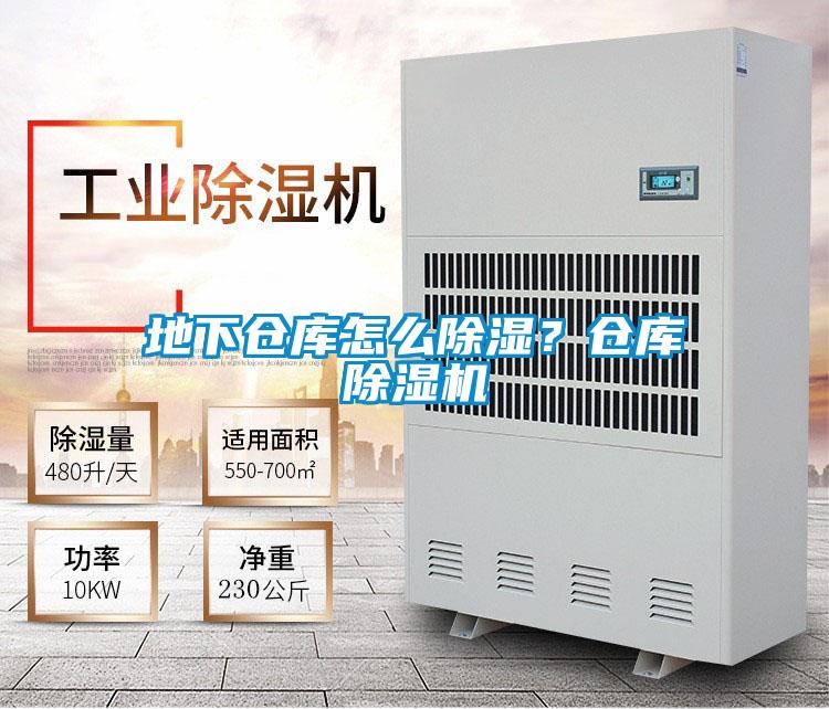 地下倉(cāng)庫(kù)怎么除濕？倉(cāng)庫(kù)除濕機(jī)