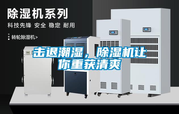 擊退潮濕，除濕機(jī)讓你重獲清爽