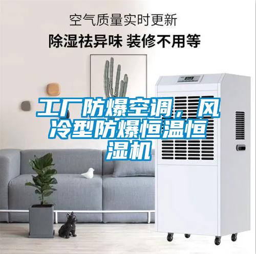 工廠防爆空調(diào)，風(fēng)冷型防爆恒溫恒濕機(jī)