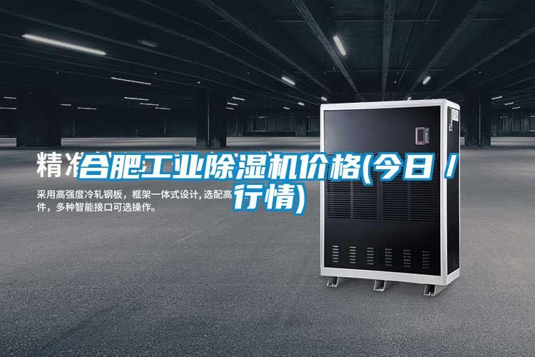 合肥工業(yè)除濕機(jī)價(jià)格(今日/行情)