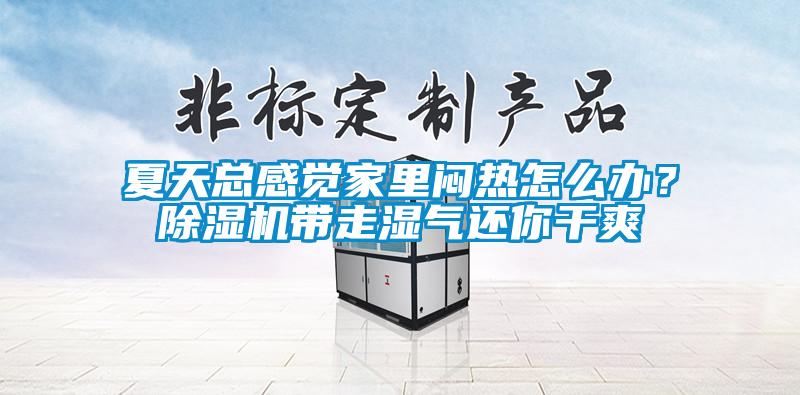夏天總感覺家里悶熱怎么辦？除濕機(jī)帶走濕氣還你干爽