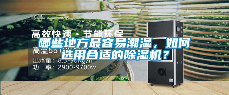 哪些地方最容易潮濕，如何選用合適的除濕機(jī)？