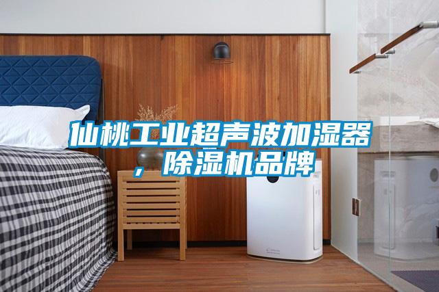 仙桃工業(yè)超聲波加濕器，除濕機品牌