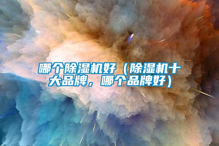 哪個除濕機好（除濕機十大品牌，哪個品牌好）