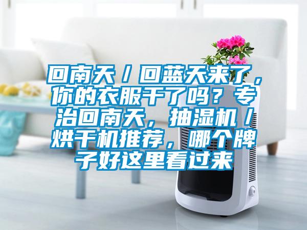 回南天／回藍天來了，你的衣服干了嗎？專治回南天，抽濕機／烘干機推薦，哪個牌子好這里看過來