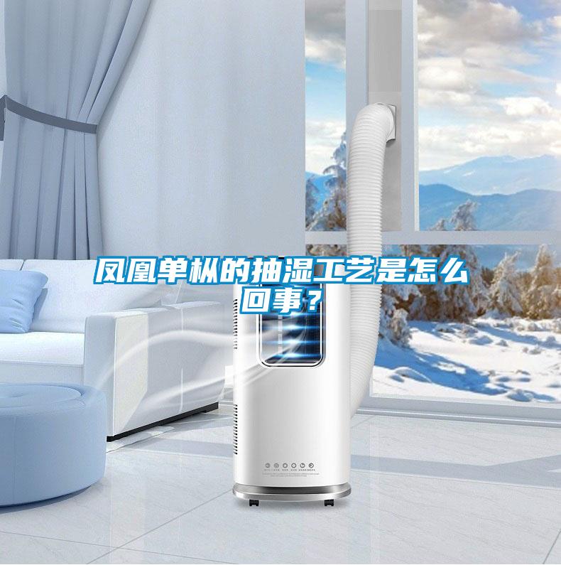 鳳凰單樅的抽濕工藝是怎么回事？