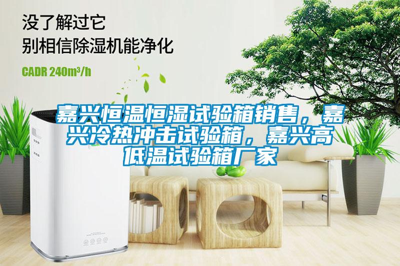 嘉興恒溫恒濕試驗(yàn)箱銷(xiāo)售，嘉興冷熱沖擊試驗(yàn)箱，嘉興高低溫試驗(yàn)箱廠家