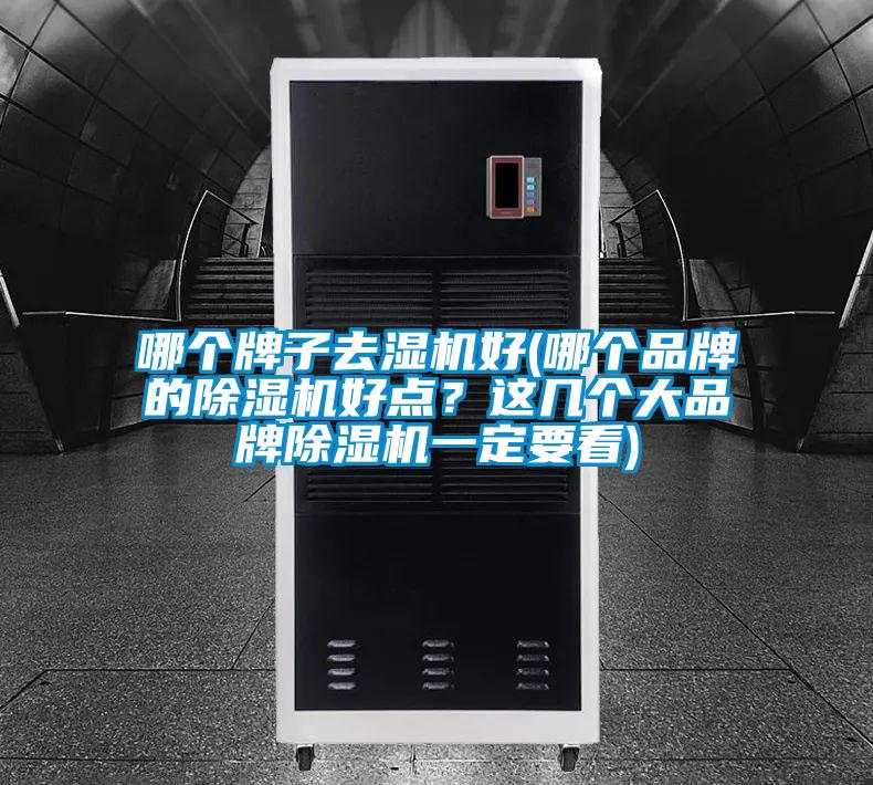 哪個(gè)牌子去濕機(jī)好(哪個(gè)品牌的除濕機(jī)好點(diǎn)？這幾個(gè)大品牌除濕機(jī)一定要看)