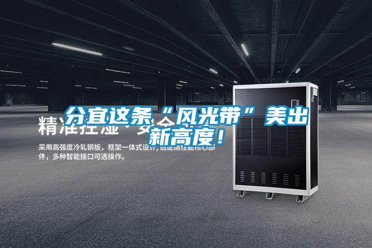 分宜這條“風光帶”美出新高度！