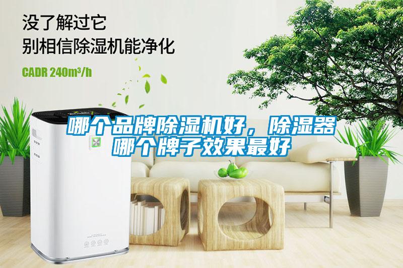 哪個(gè)品牌除濕機(jī)好，除濕器哪個(gè)牌子效果最好
