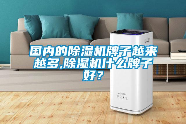 國(guó)內(nèi)的除濕機(jī)牌子越來(lái)越多,除濕機(jī)什么牌子好？
