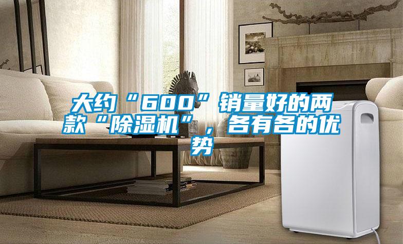 大約“600”銷量好的兩款“除濕機”，各有各的優(yōu)勢