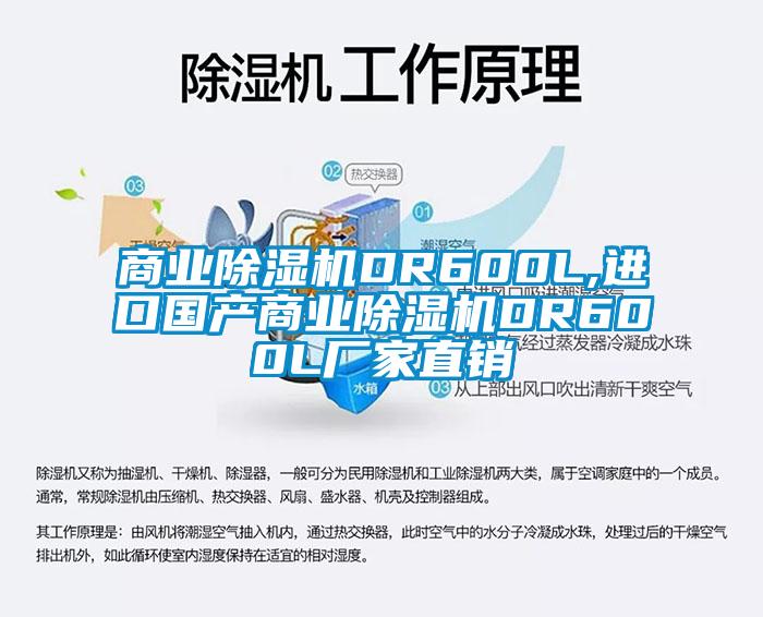 商業(yè)除濕機DR600L,進(jìn)口國產(chǎn)商業(yè)除濕機DR600L廠家直銷