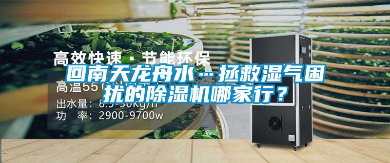 回南天龍舟水…拯救濕氣困擾的除濕機(jī)哪家行？
