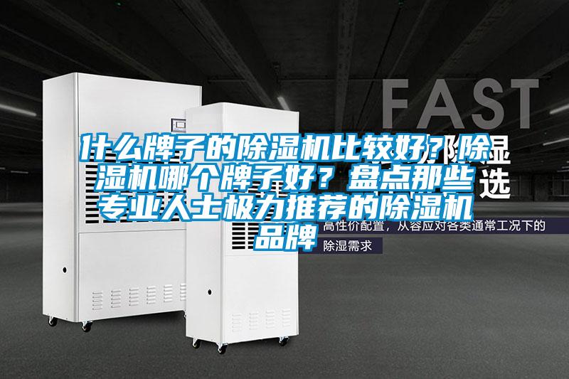 什么牌子的除濕機(jī)比較好？除濕機(jī)哪個牌子好？盤點(diǎn)那些專業(yè)人士極力推薦的除濕機(jī)品牌