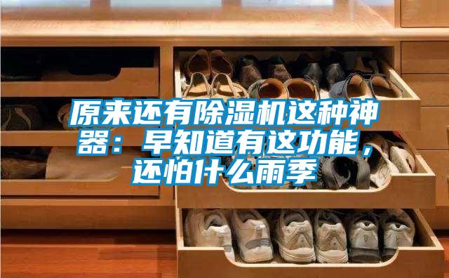 原來還有除濕機(jī)這種神器：早知道有這功能，還怕什么雨季