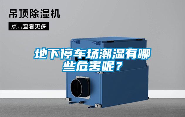 地下停車場(chǎng)潮濕有哪些危害呢？