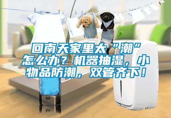 回南天家里太“潮”怎么辦？機器抽濕，小物品防潮，雙管齊下！