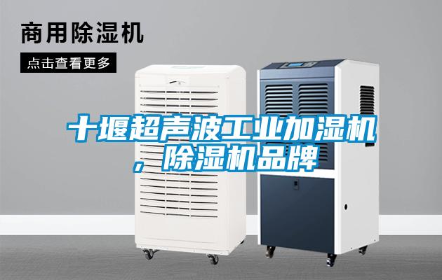 十堰超聲波工業(yè)加濕機，除濕機品牌