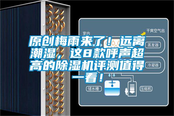 原創(chuàng)梅雨來了！遠離潮濕，這8款呼聲超高的除濕機評測值得一看！