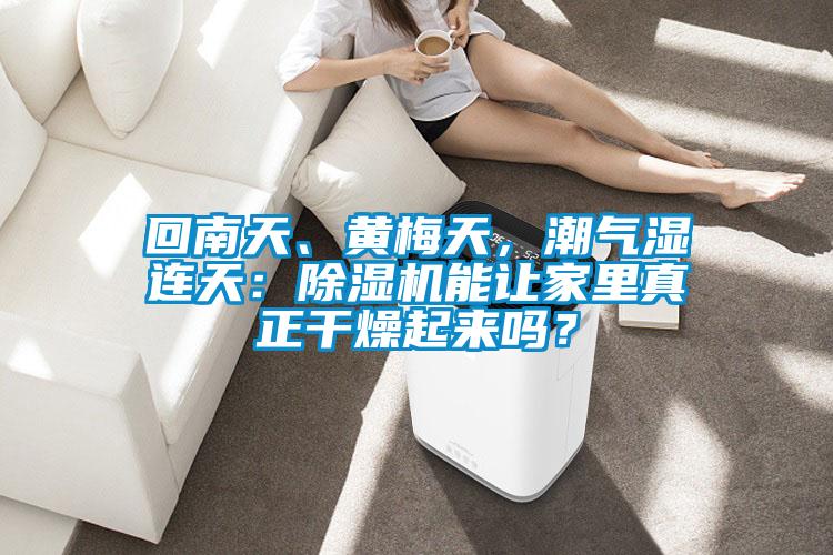 回南天、黃梅天，潮氣濕連天：除濕機(jī)能讓家里真正干燥起來(lái)嗎？