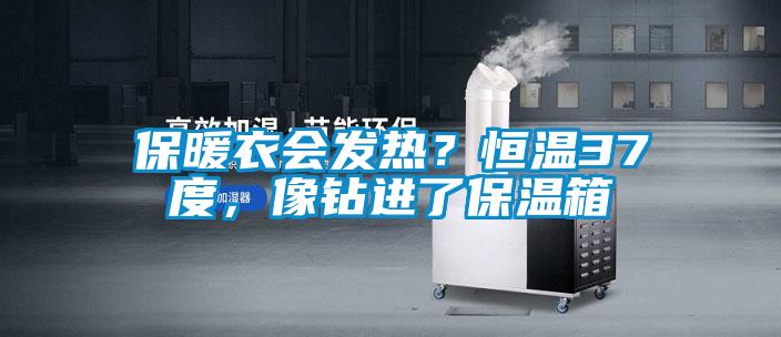 保暖衣會發(fā)熱？恒溫37度，像鉆進了保溫箱