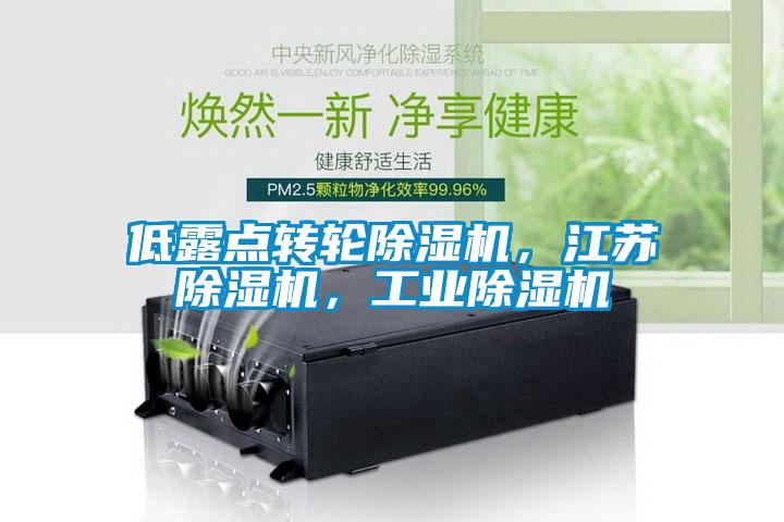 低露點(diǎn)轉(zhuǎn)輪除濕機(jī)，江蘇除濕機(jī)，工業(yè)除濕機(jī)