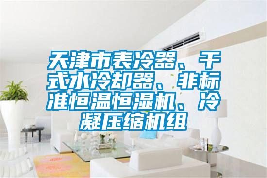 天津市表冷器、干式水冷卻器、非標(biāo)準(zhǔn)恒溫恒濕機(jī)、冷凝壓縮機(jī)組