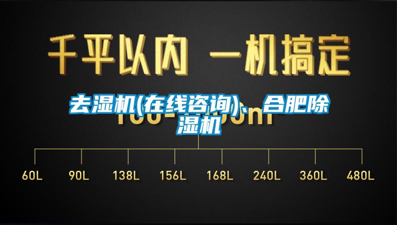 去濕機(jī)(在線咨詢)、合肥除濕機(jī)