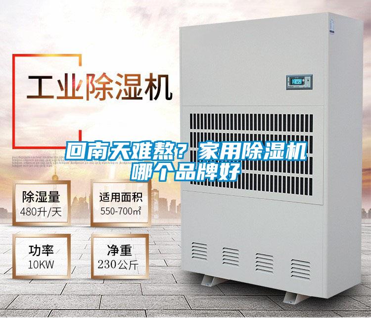 回南天難熬？家用除濕機(jī)哪個(gè)品牌好
