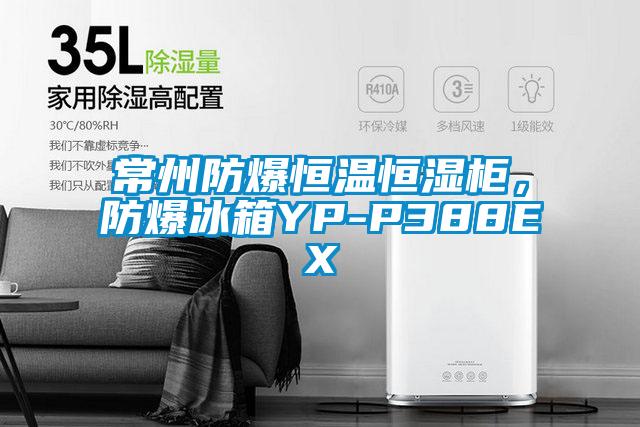 常州防爆恒溫恒濕柜，防爆冰箱YP-P388EX