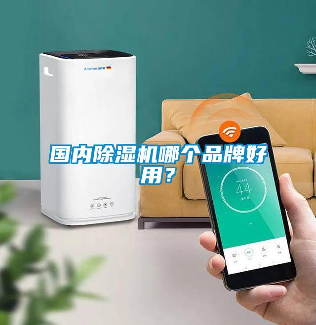 國內(nèi)除濕機哪個品牌好用？
