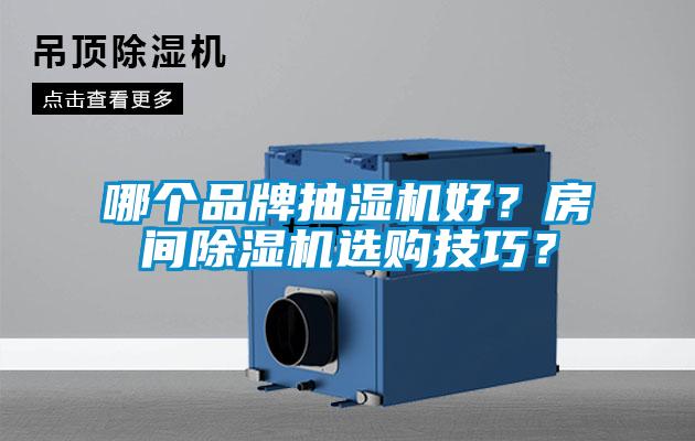 哪個(gè)品牌抽濕機(jī)好？房間除濕機(jī)選購技巧？